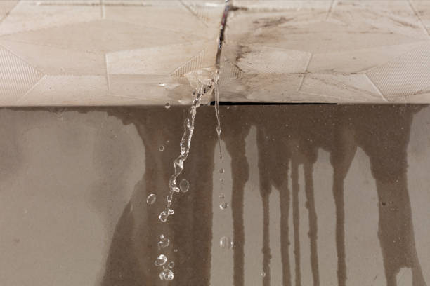 Professional Water Damage Inspection technician working in Dayton, TX